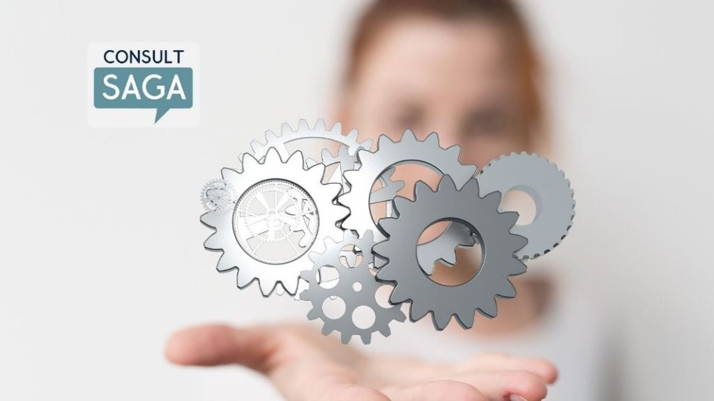 Consult Saga Operasyonel Verimlilik Eğitimi Can Demirağ Fergül Guyard