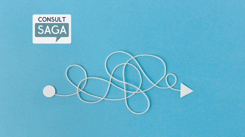 Consult Saga - Süreç Yönetimi - Can Demirağ - Fergül Guyard